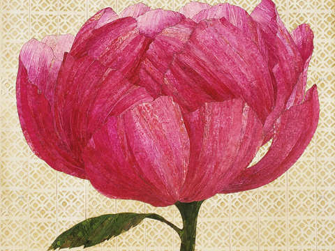 Pink peony 3