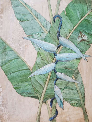 Blue bird of paradise