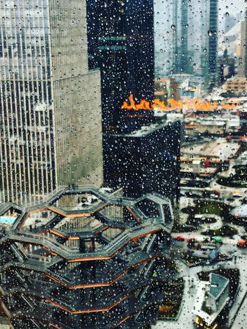 Tiers in rain