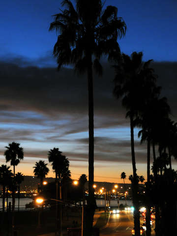 The boulevard