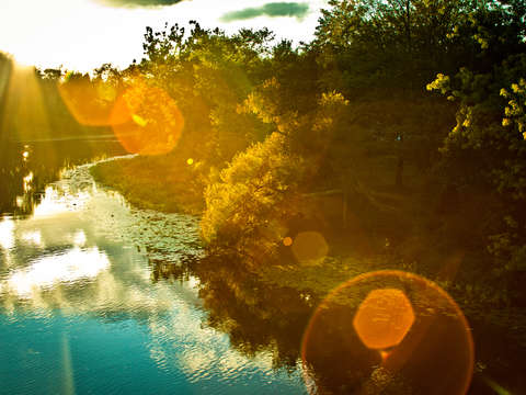 Sun flare