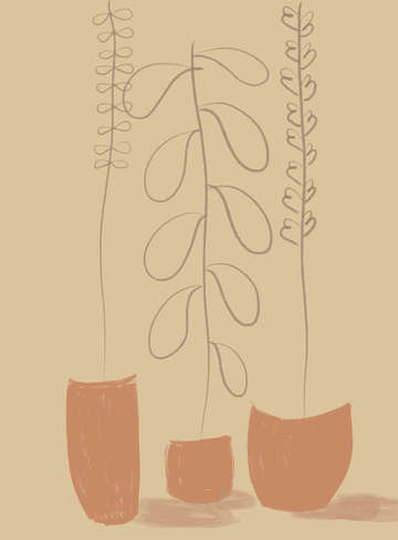 Terracotta