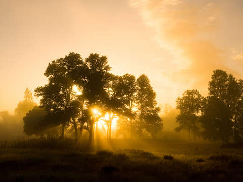 Sunrise in Villarrica