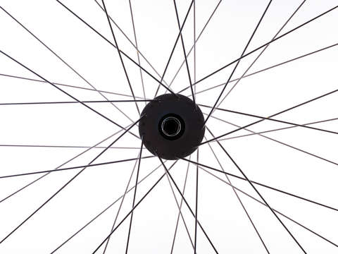Abstract 14