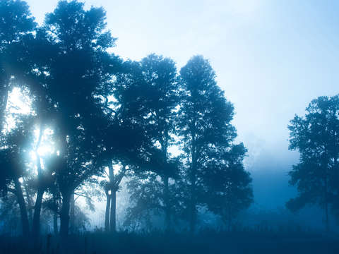 Blue sunrise 3