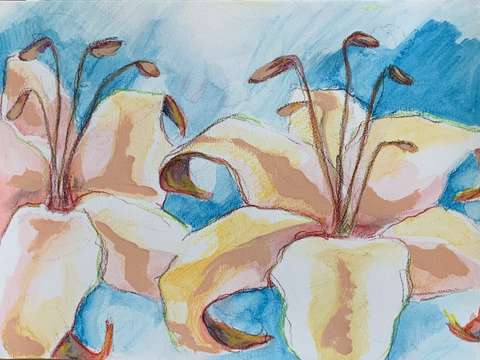 Lilies