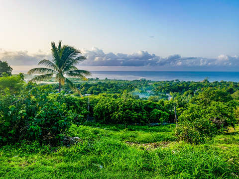 Jamaican Sunrise