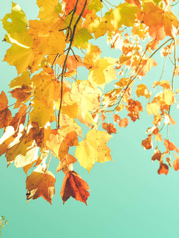 Changing Seasons