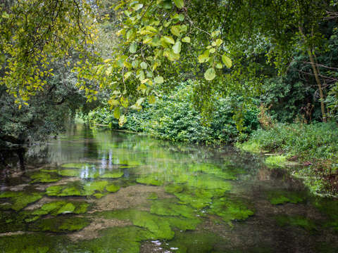River itchen