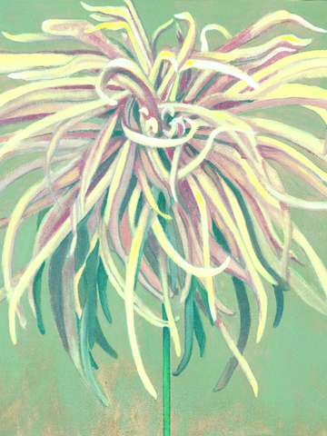 Pastel Chrysanthemum