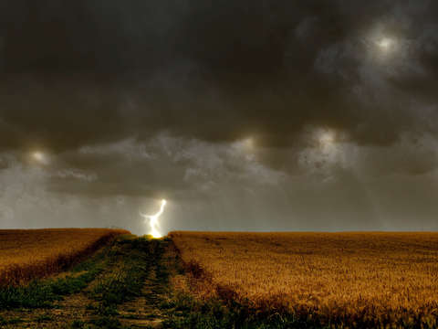Strike to the path