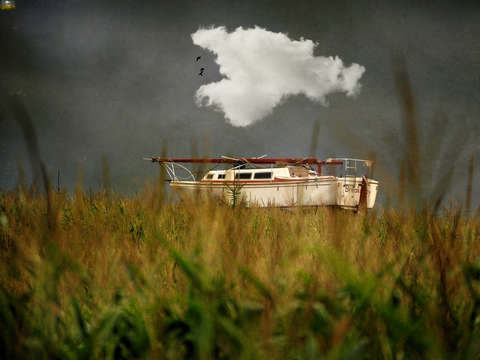 Dreaming of water