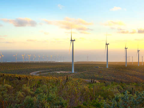 Windmills at wind farm