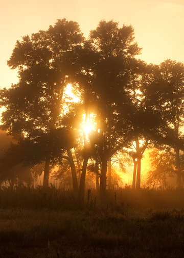 Sunrise at a farm in Villarrica