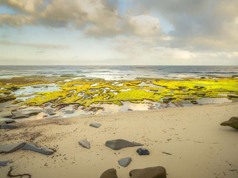 The brightest green reef