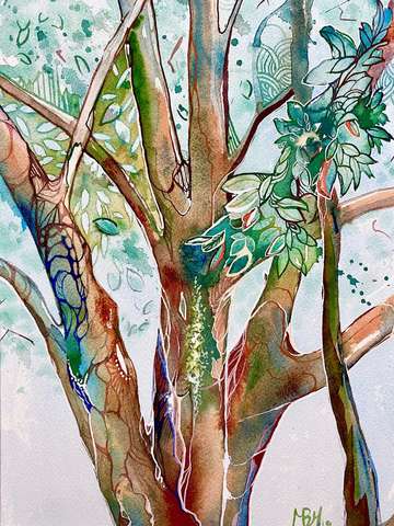 Backyard Tree
