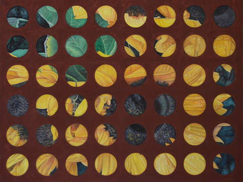Real sunflowers 2