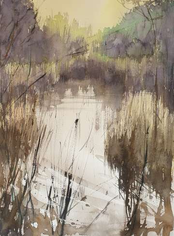 Swamp 2 2