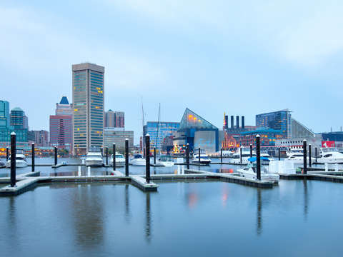 Bue baltimore