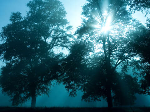 Mystic landscape