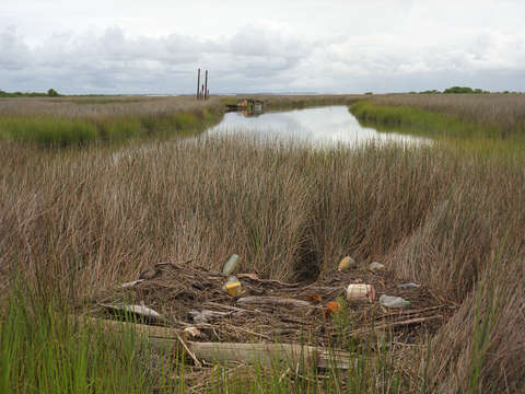 Holland Island