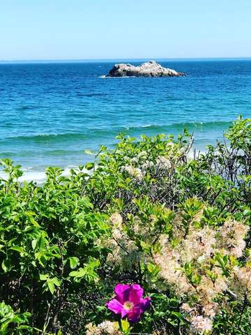 Singing beach from the dunes 2