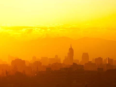 Yellow santiago