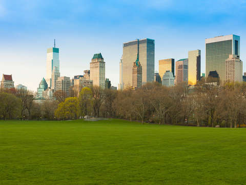 Central Park in NY