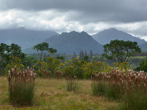 Kauaian volcano