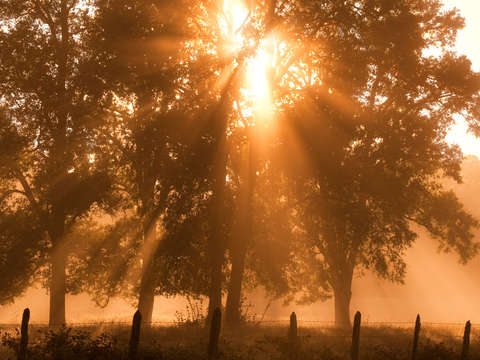 Sunrise 8
