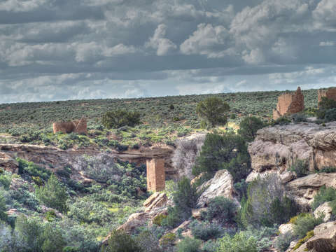 Ancient sentinels