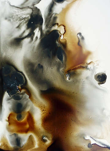 Untitled 364