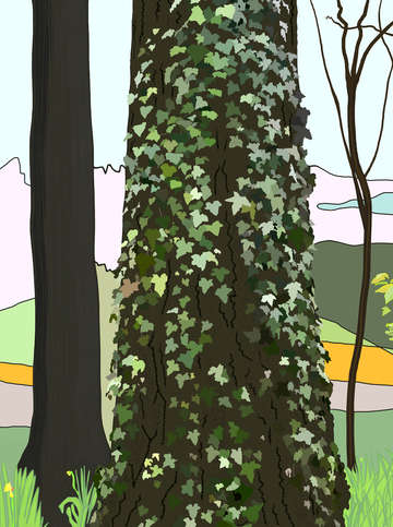 Tree and ivy in spring