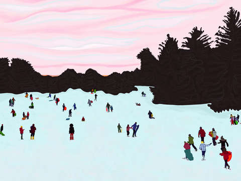 Sledding in prospect park