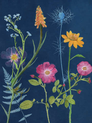 Cyanotype painting roses 2020 1