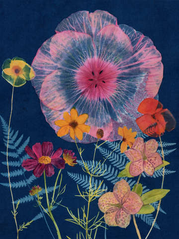 Cyanotype Painting (Hibiscus/Poppies 2020, 1)