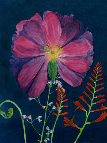 Cyanotype Painting (Pink Peony, 1)