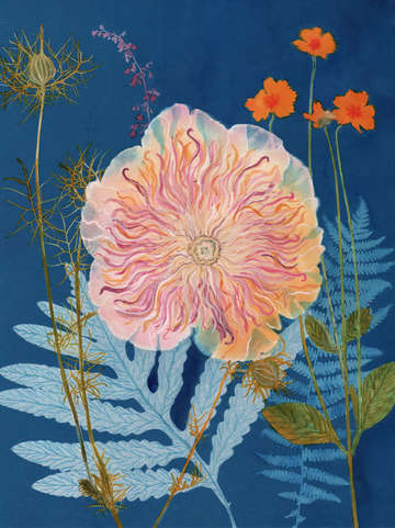 Cyanotype Painting (Peony Ferns 2020, 3)
