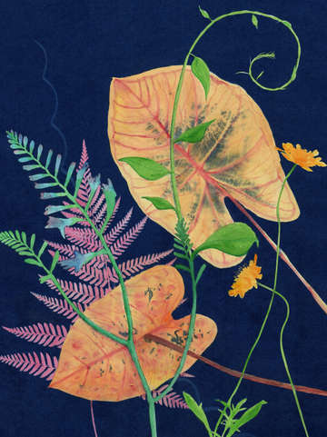 Cyanotype Painting (Leaves/Ferns 2020, 1)