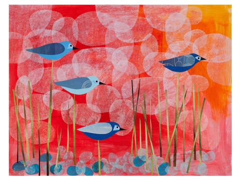 Blue birds calling