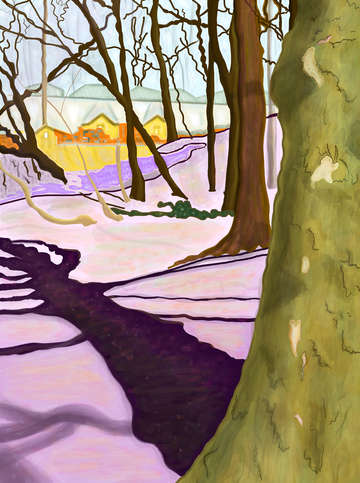 Hill with crocus