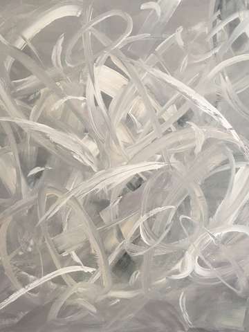 Dove feathers