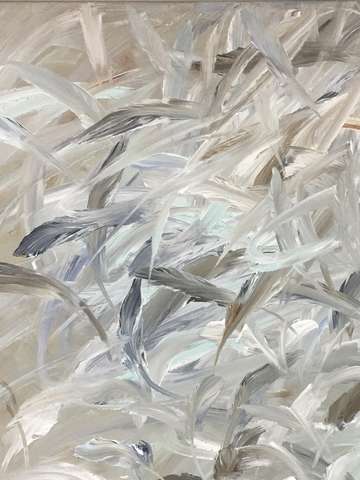 Down feathers
