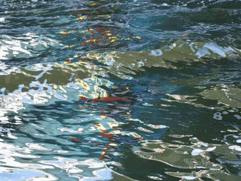 Water 6n11306