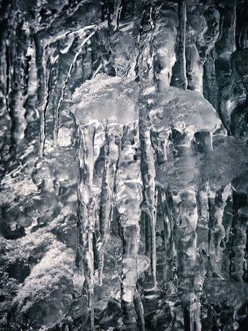 Iceforms iii