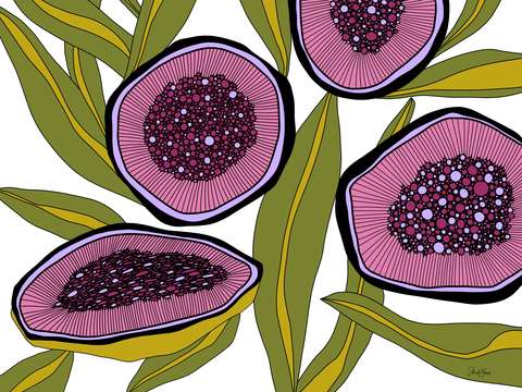 Seeds 3