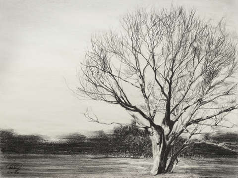 Tree of knowledge
