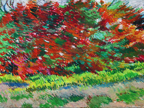 Autumn trees 10