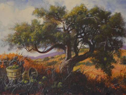 Aunt Helen's Apple Tree