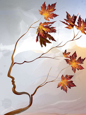 Maple